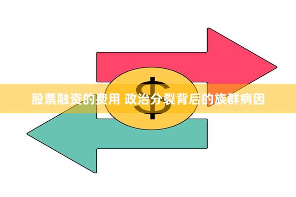 股票融资的费用 政治分裂背后的族群病因