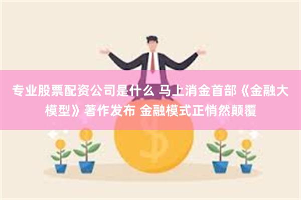 专业股票配资公司是什么 马上消金首部《金融大模型》著作发布 金融模式正悄然颠覆