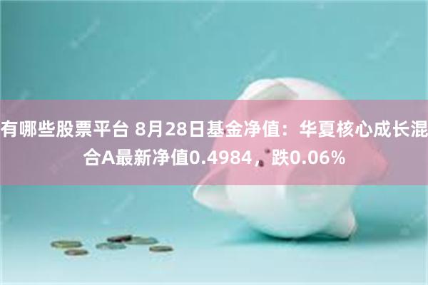 有哪些股票平台 8月28日基金净值：华夏核心成长混合A最新净值0.4984，跌0.06%