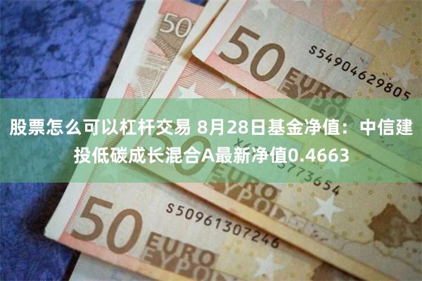 股票怎么可以杠杆交易 8月28日基金净值：中信建投低碳成长混合A最新净值0.4663