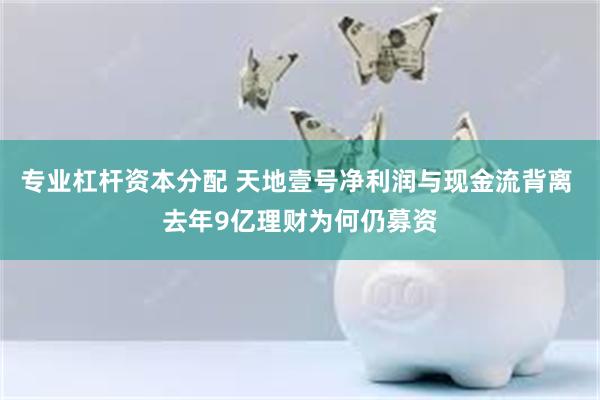 专业杠杆资本分配 天地壹号净利润与现金流背离 去年9亿理财为何仍募资