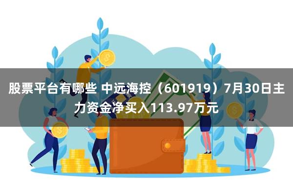 股票平台有哪些 中远海控（601919）7月30日主力资金净买入113.97万元