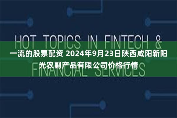 一流的股票配资 2024年9月23日陕西咸阳新阳光农副产品有限公司价格行情