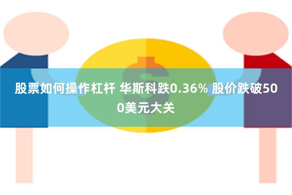 股票如何操作杠杆 华斯科跌0.36% 股价跌破500美元大关