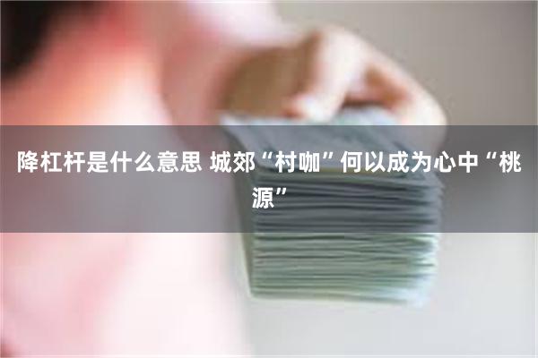 降杠杆是什么意思 城郊“村咖”何以成为心中“桃源”