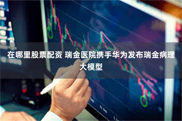 在哪里股票配资 瑞金医院携手华为发布瑞金病理大模型