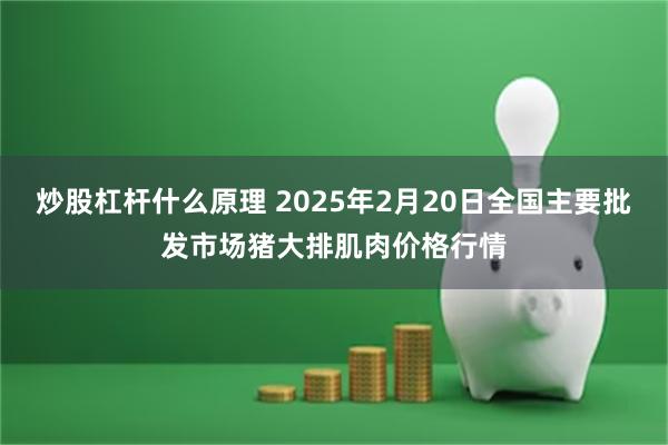 炒股杠杆什么原理 2025年2月20日全国主要批发市场猪大排肌肉价格行情